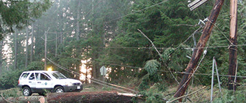 一辆汽车停在被倒下的树木和电线堵塞的路上
